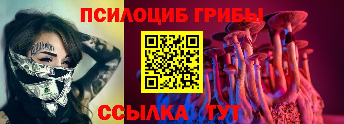 Омск  Псилоцибиновые грибы прущие грибы  Вход с VPN 